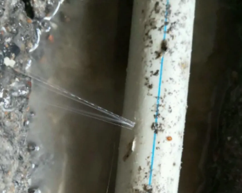 兴义卫生间测漏水多少钱
